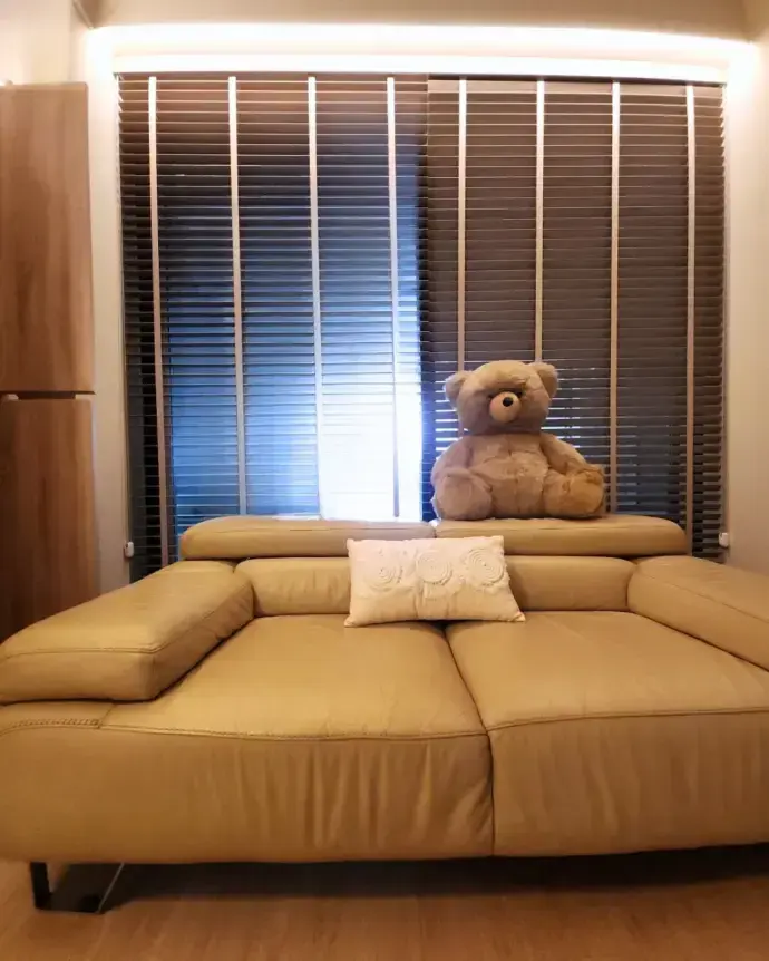 The loft daybed with a soft toy, under the blinds